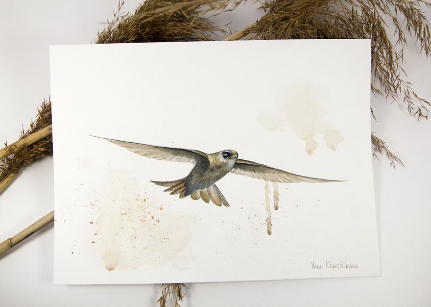 Beautiful Watercolor Animals Drawn By Russian Artist Yana Khachikyan Beautiful Watercolor Animals Drawn By Russian Artist Yana Khachikyan