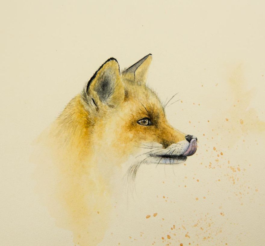 Beautiful Watercolor Animals Drawn By Russian Artist Yana Khachikyan Beautiful Watercolor Animals Drawn By Russian Artist Yana Khachikyan