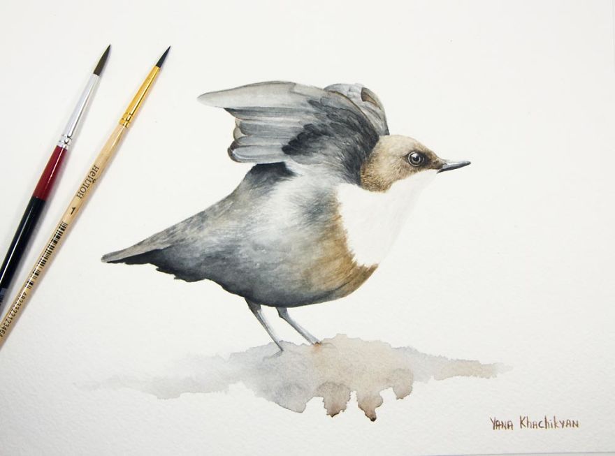 Beautiful Watercolor Animals Drawn By Russian Artist Yana Khachikyan Beautiful Watercolor Animals Drawn By Russian Artist Yana Khachikyan