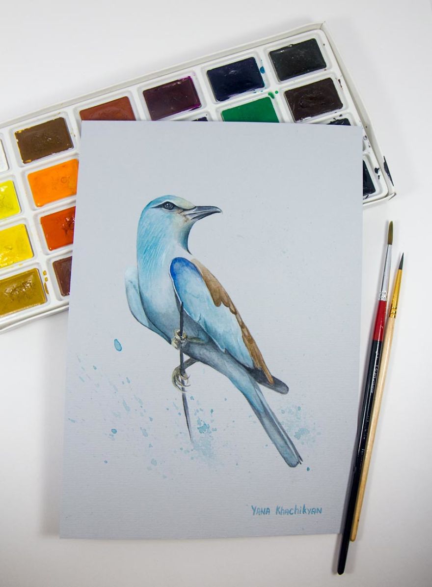 Beautiful Watercolor Animals Drawn By Russian Artist Yana Khachikyan Beautiful Watercolor Animals Drawn By Russian Artist Yana Khachikyan