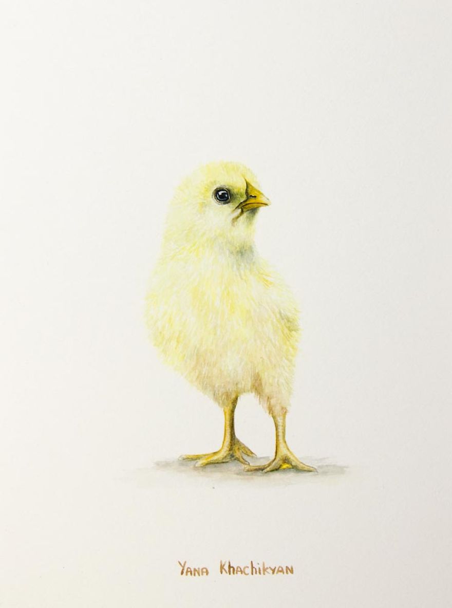 Beautiful Watercolor Animals Drawn By Russian Artist Yana Khachikyan Beautiful Watercolor Animals Drawn By Russian Artist Yana Khachikyan