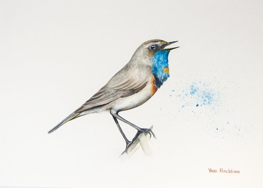 Beautiful Watercolor Animals Drawn By Russian Artist Yana Khachikyan Beautiful Watercolor Animals Drawn By Russian Artist Yana Khachikyan