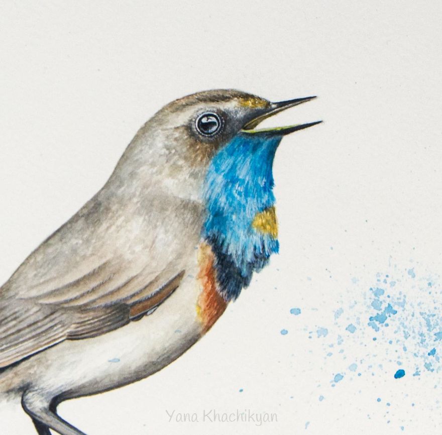 Beautiful Watercolor Animals Drawn By Russian Artist Yana Khachikyan Beautiful Watercolor Animals Drawn By Russian Artist Yana Khachikyan