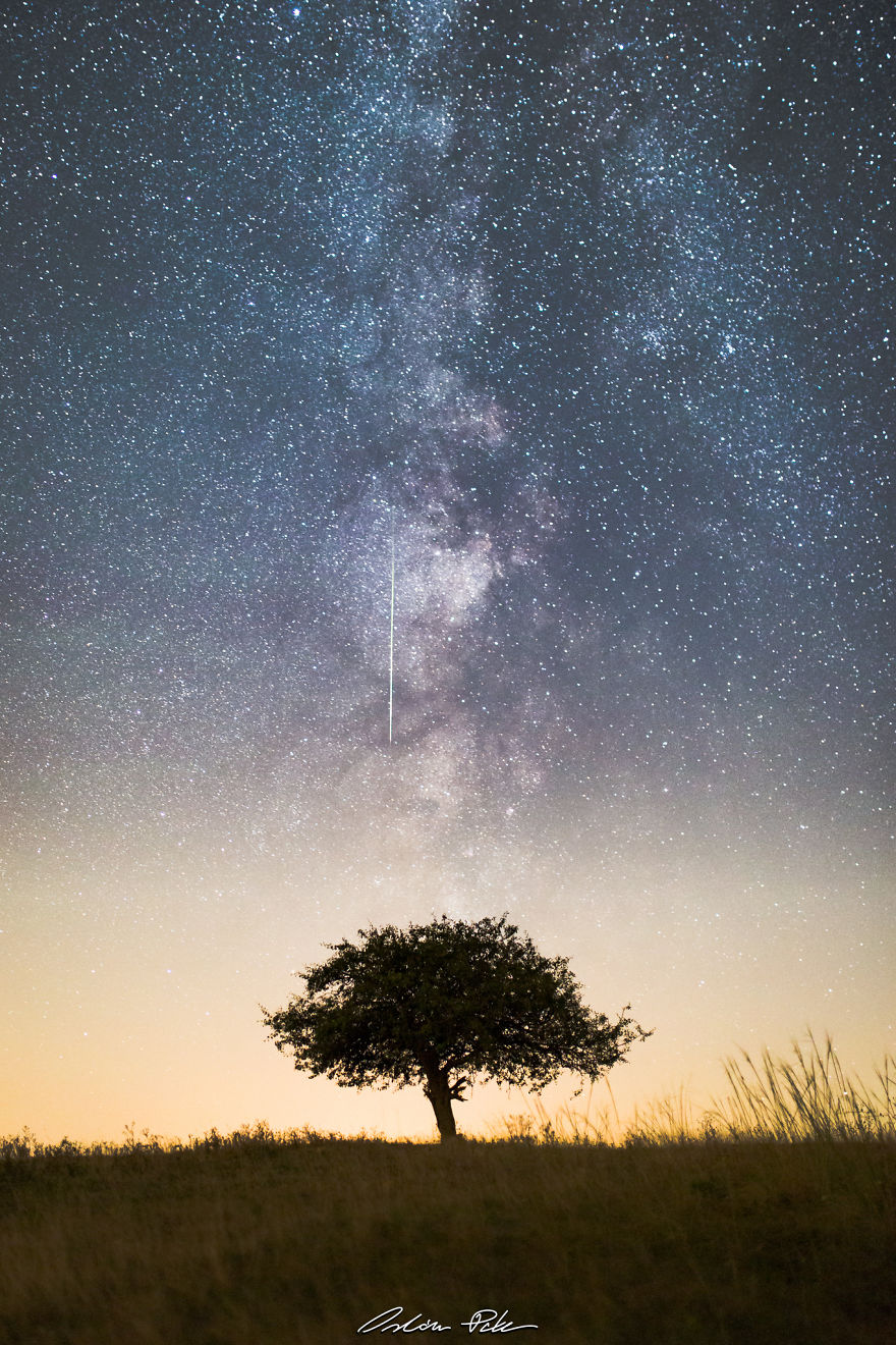 I Spent Years To Photograph The Exact Same Tree, But The Result Is Very Different.