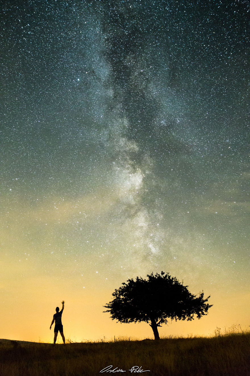 I Spent Years To Photograph The Exact Same Tree, But The Result Is Very Different.