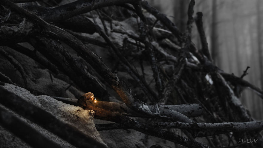 There Is Nothing To Do In My City During Winter Season, So I've Made Some Magical Photos To Make My Life More Entertaining There Is Nothing To Do In My City During Winter Season, So I've Made Some Magical Photos To Make My Life More Entertaining