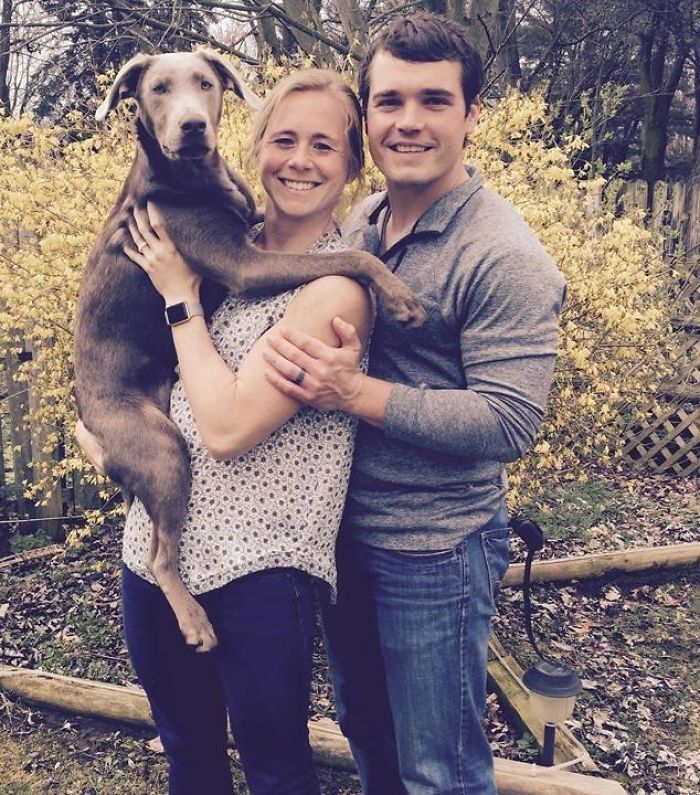 Adorable Labrador Has To Eat In A High Chair Because Of A Rare Medical Condition
