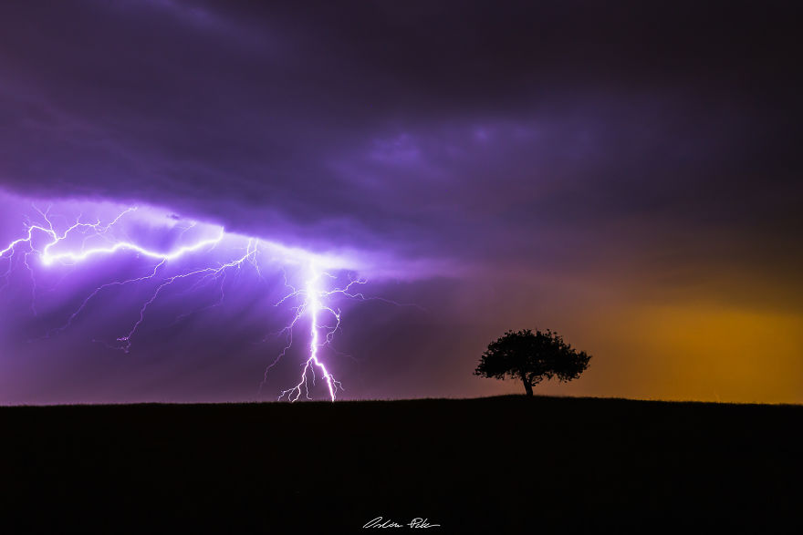 I Spent Years To Photograph The Exact Same Tree, But The Result Is Very Different.