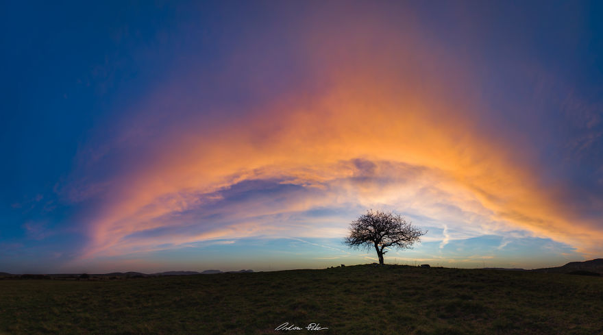 I Spent Years To Photograph The Exact Same Tree, But The Result Is Very Different. I Spent Years To Photograph The Exact Same Tree, But The Result Is Very Different.
