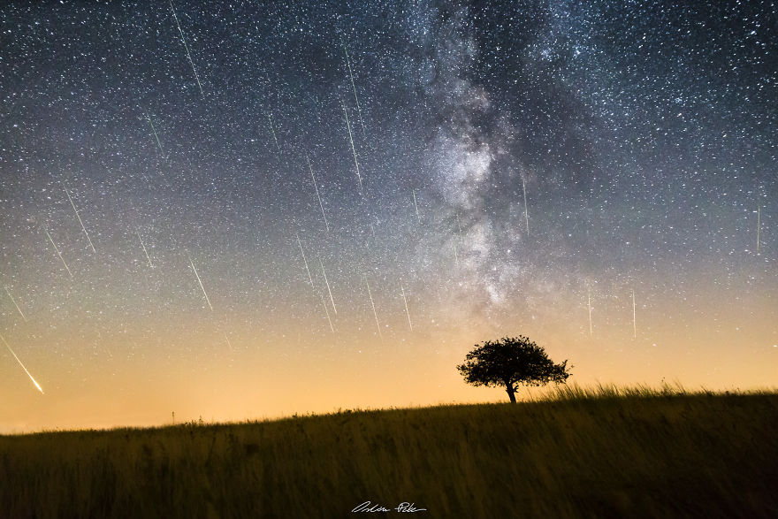 I Spent Years To Photograph The Exact Same Tree, But The Result Is Very Different. I Spent Years To Photograph The Exact Same Tree, But The Result Is Very Different.