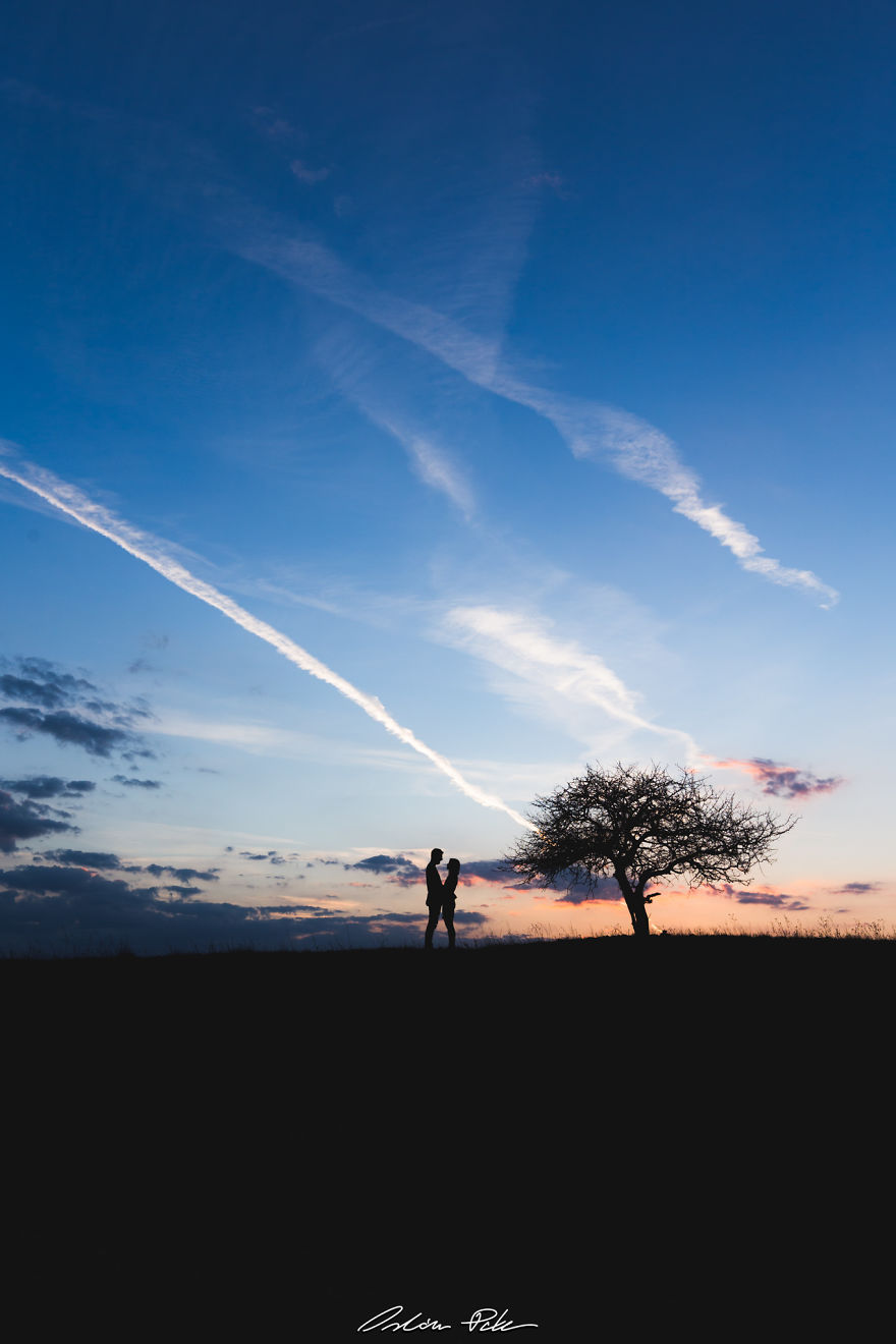 I Spent Years To Photograph The Exact Same Tree, But The Result Is Very Different. I Spent Years To Photograph The Exact Same Tree, But The Result Is Very Different.