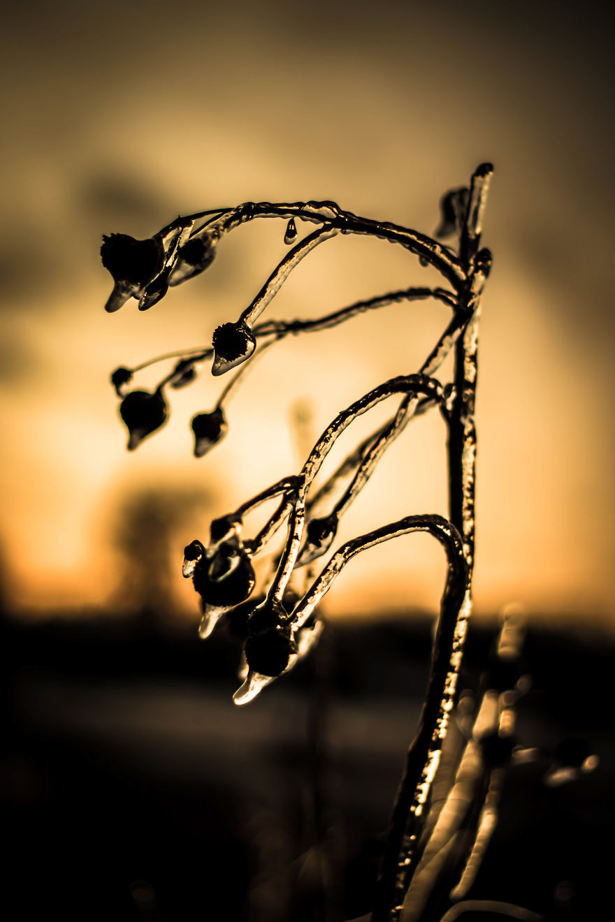 My Photographs Inspired By The Beauty Of Oklahoma