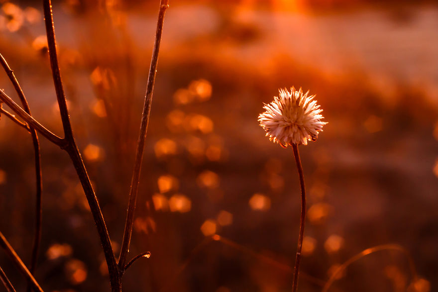My Photographs Inspired By The Beauty Of Oklahoma