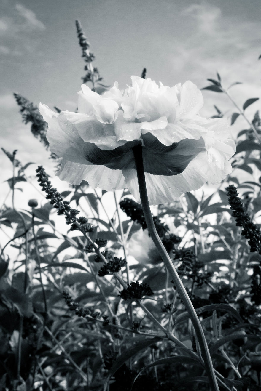 My Photographs Inspired By The Beauty Of Oklahoma