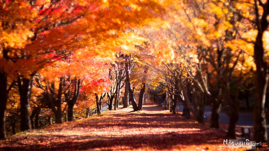 The First Autumn That I Felt In My Family