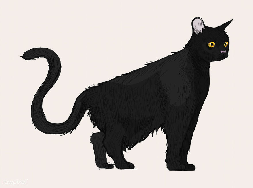 Our Designer Just Illustrated Different Types Of Cat Breeds And We Are Freaking Out By How Cute They Are