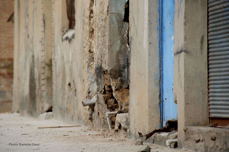 Photographer Captures Conceptual Photographs To Understand Kurds' Identity