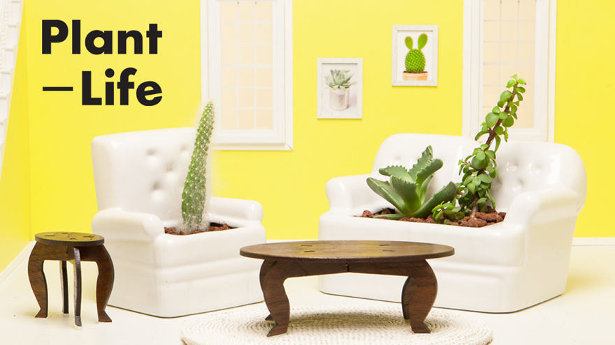 Relaaax And Make Your Plants Comfortable