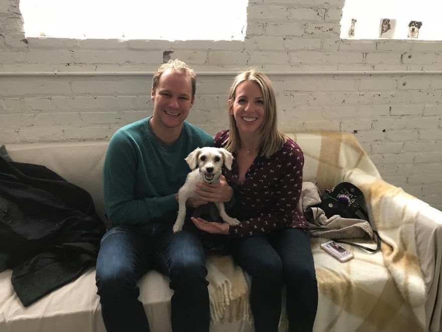 Stray Dog Can’t Stop Smiling After Rescuers Shave Off His Matted Fur Stray Dog Can’t Stop Smiling After Rescuers Shave Off His Matted Fur