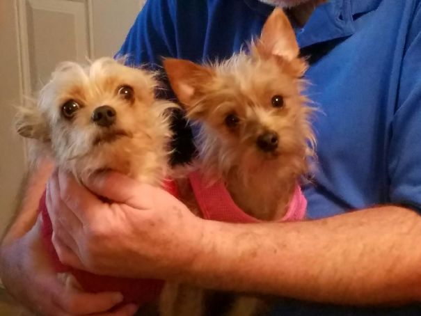 When The Best Things In Life Are Free