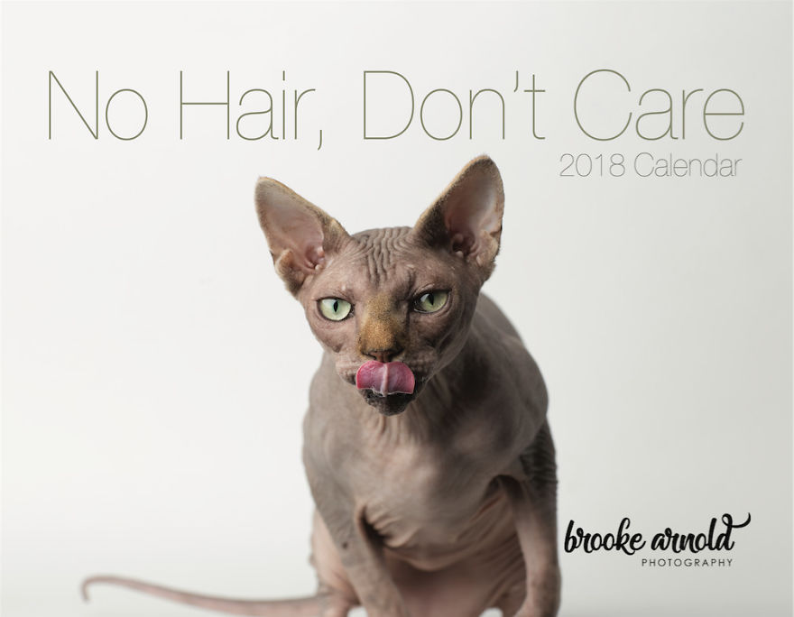 I Made A Calendar Of Sphynx Cats For 2018 That Takes Nude To A Whole New Level