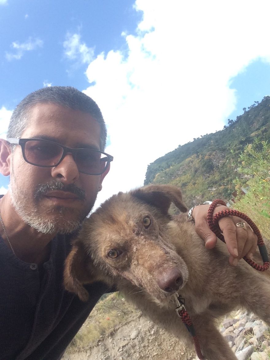 The Incredible Transformation Of Enrique - A Street Dog From Guatemala