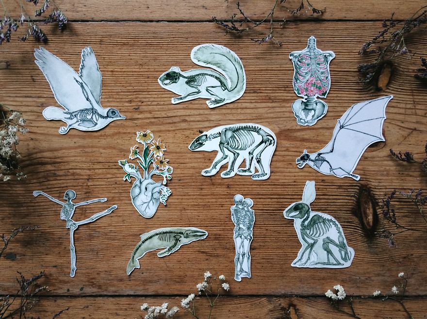 After Spending More Time With Animals Than Humans, I Started Creating Anatomy Art After Spending More Time With Animals Than Humans, I Started Creating Anatomy Art