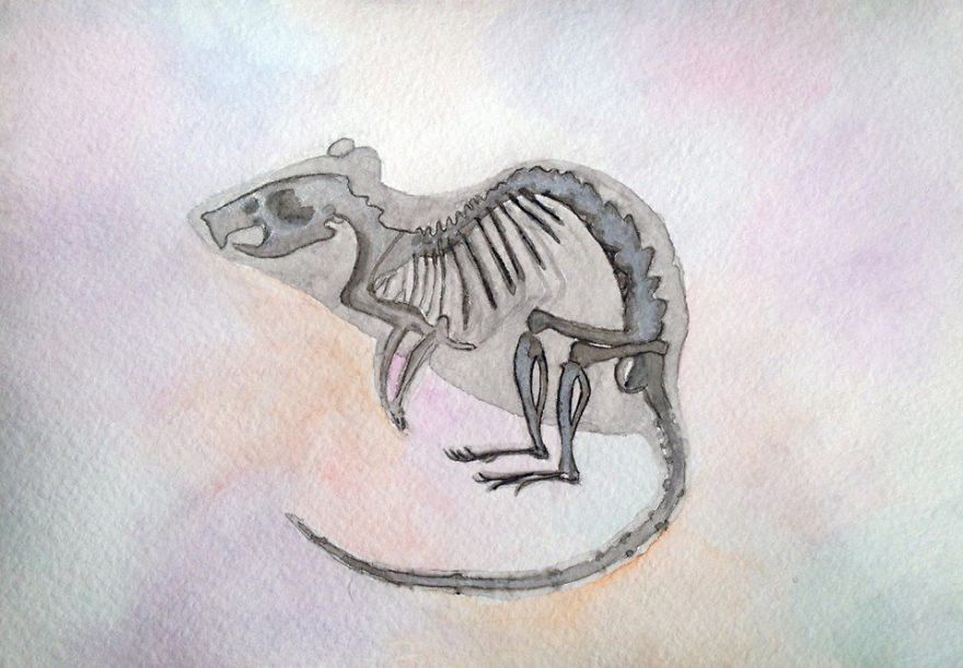 After Spending More Time With Animals Than Humans, I Started Creating Anatomy Art After Spending More Time With Animals Than Humans, I Started Creating Anatomy Art