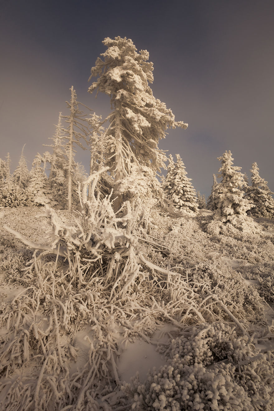 I Have Found The Magic Of Winter In The Polish Mountains