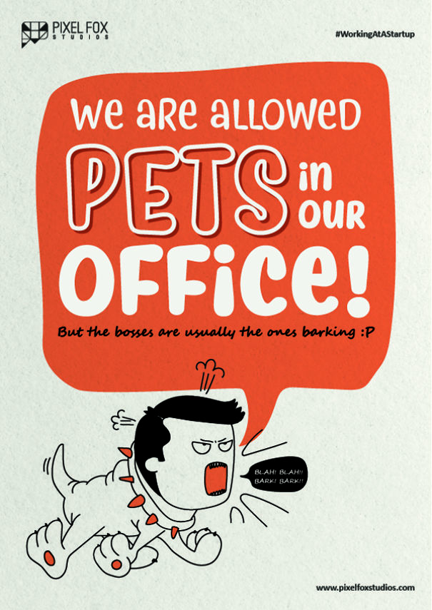 Working At A Startup