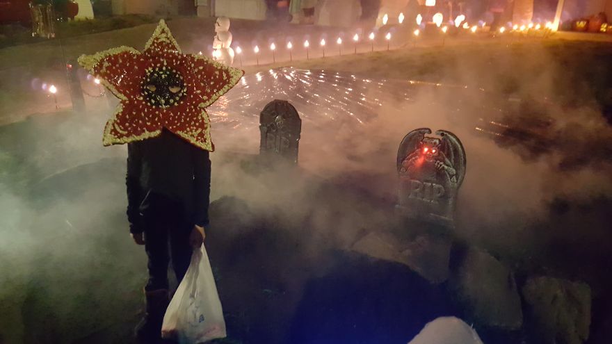 No, My Son Was Not A Flower For Halloween No, My Son Was Not A Flower For Halloween