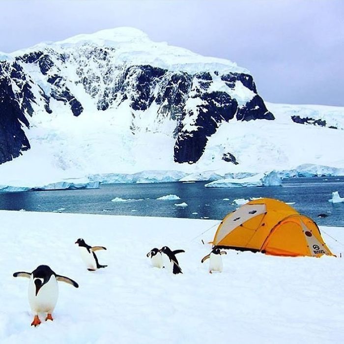 This Woman Has Fun On Instagram With Photos Of People Pretending To Sleep In The Middle Of Nowhere