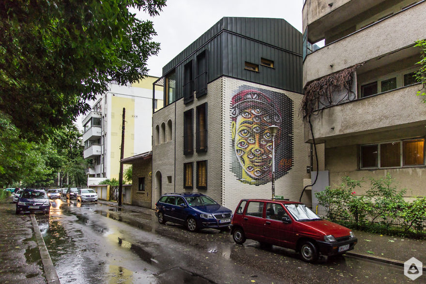 Irlo / 2017 / Aviator Ștefan Protopopescu 5