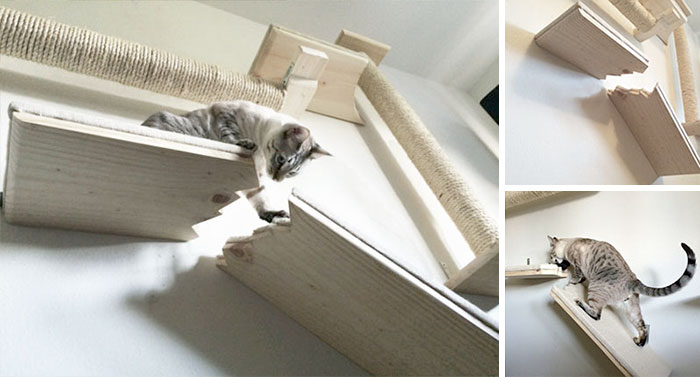 Broken Cat Shelf