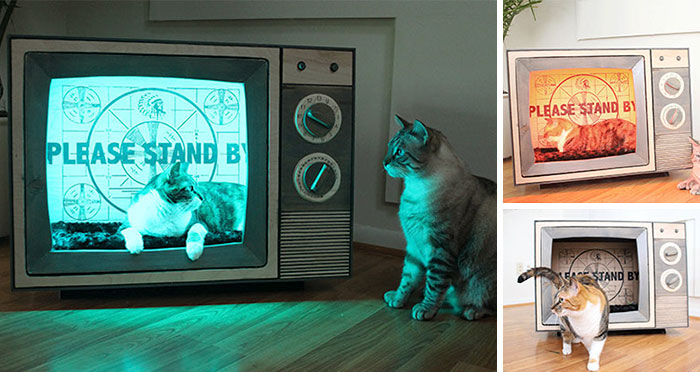 Vintage Tv Cat Bed