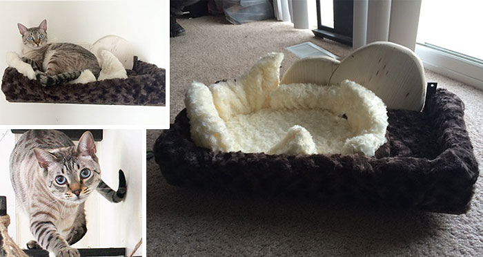 Pterodactyl Nest Cat Bed