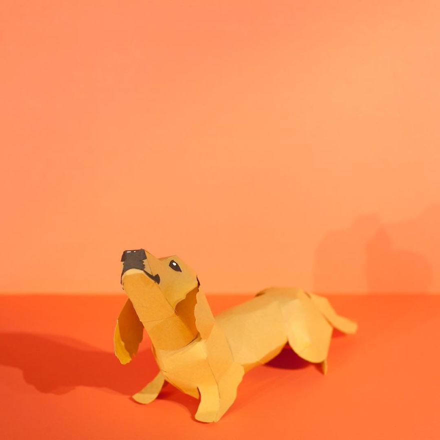 We're An All-Female Animation Team That Makes Our Animations Out Of Paper