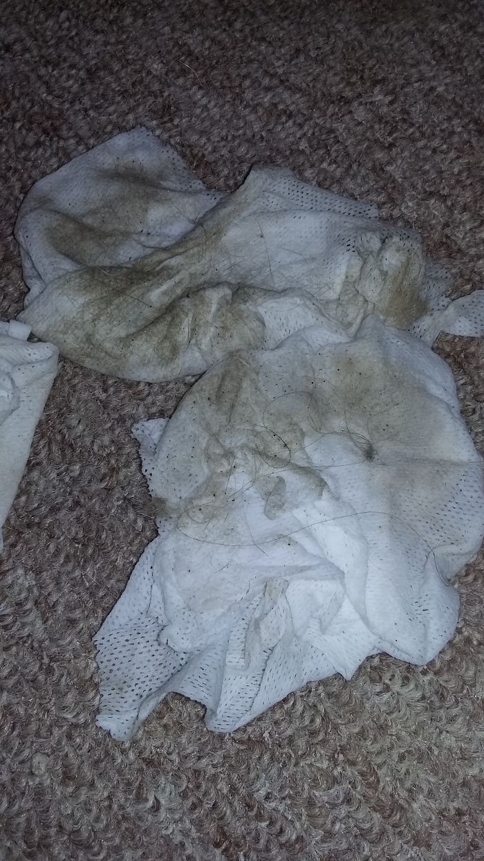 The Story Of Wesley The Story Of Wesley