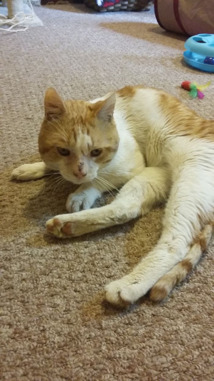 The Story Of Wesley The Story Of Wesley