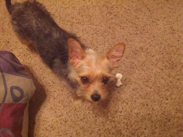 When The Best Things In Life Are Free