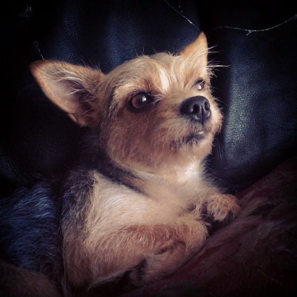 When The Best Things In Life Are Free