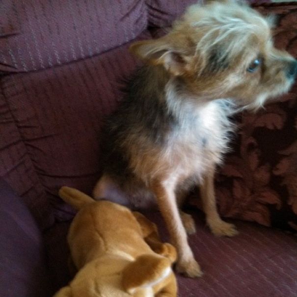 When The Best Things In Life Are Free