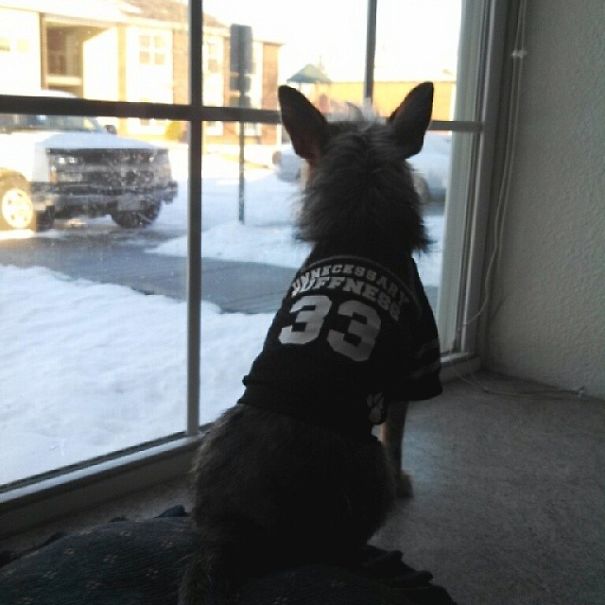 When The Best Things In Life Are Free