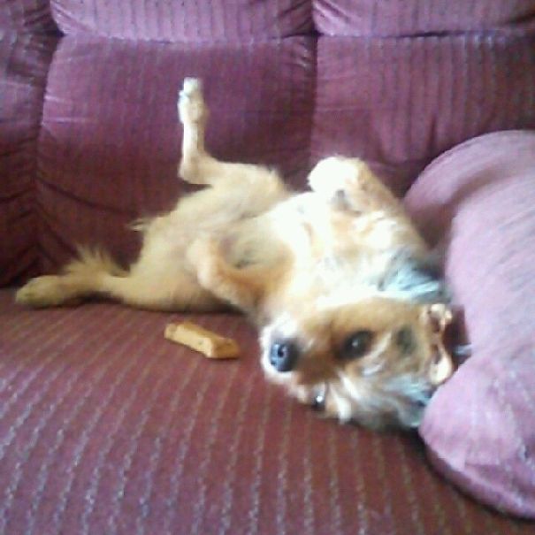 When The Best Things In Life Are Free