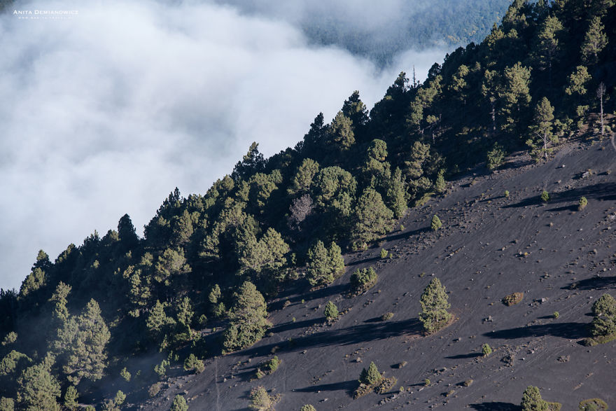 I Captured The Beauty Of The Volcano Fuego During The Eruption
