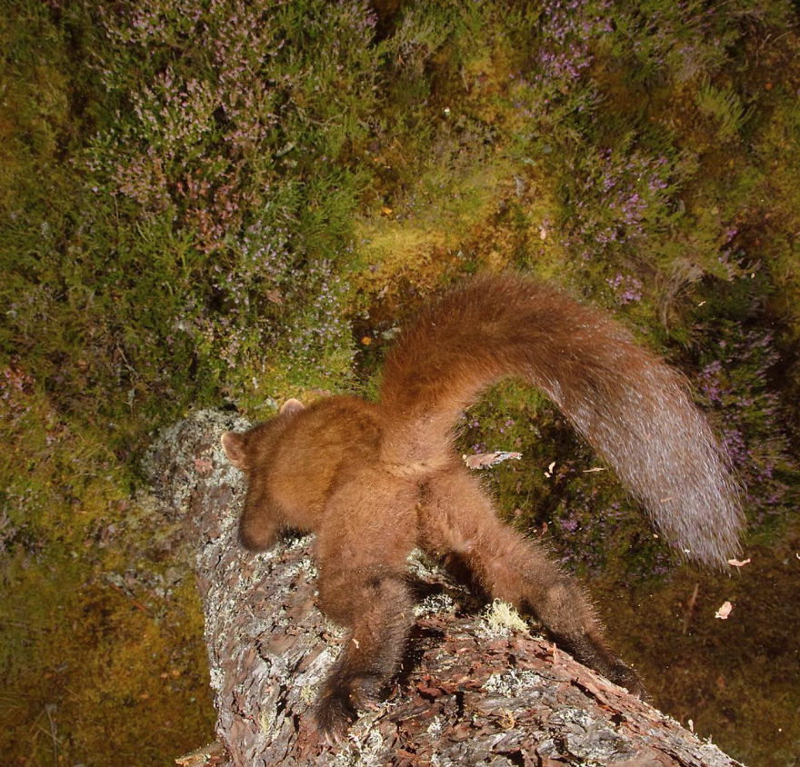 Winning #wildlifephotofail Submissions Reveal Who’s Really In Charge
(Hint: It’s Not The Photographers)