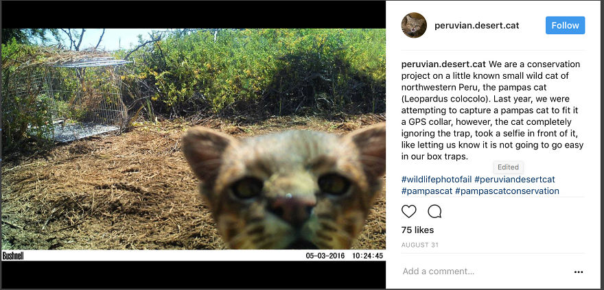 Winning #wildlifephotofail Submissions Reveal Who’s Really In Charge
(Hint: It’s Not The Photographers)