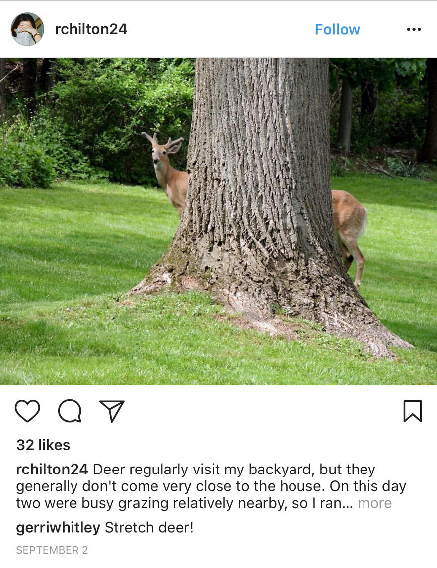 Winning #wildlifephotofail Submissions Reveal Who’s Really In Charge
(Hint: It’s Not The Photographers)