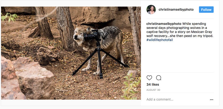 Winning #wildlifephotofail Submissions Reveal Who’s Really In Charge
(Hint: It’s Not The Photographers)