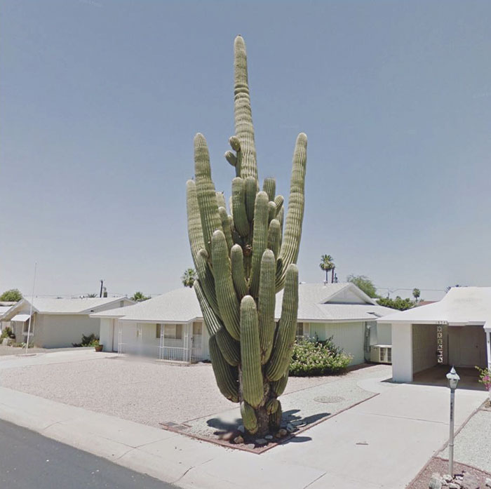 Sun City, Arizona, United States